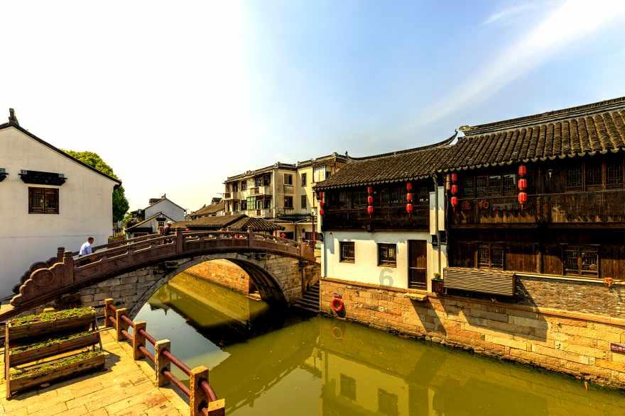 逃离变色龙森林